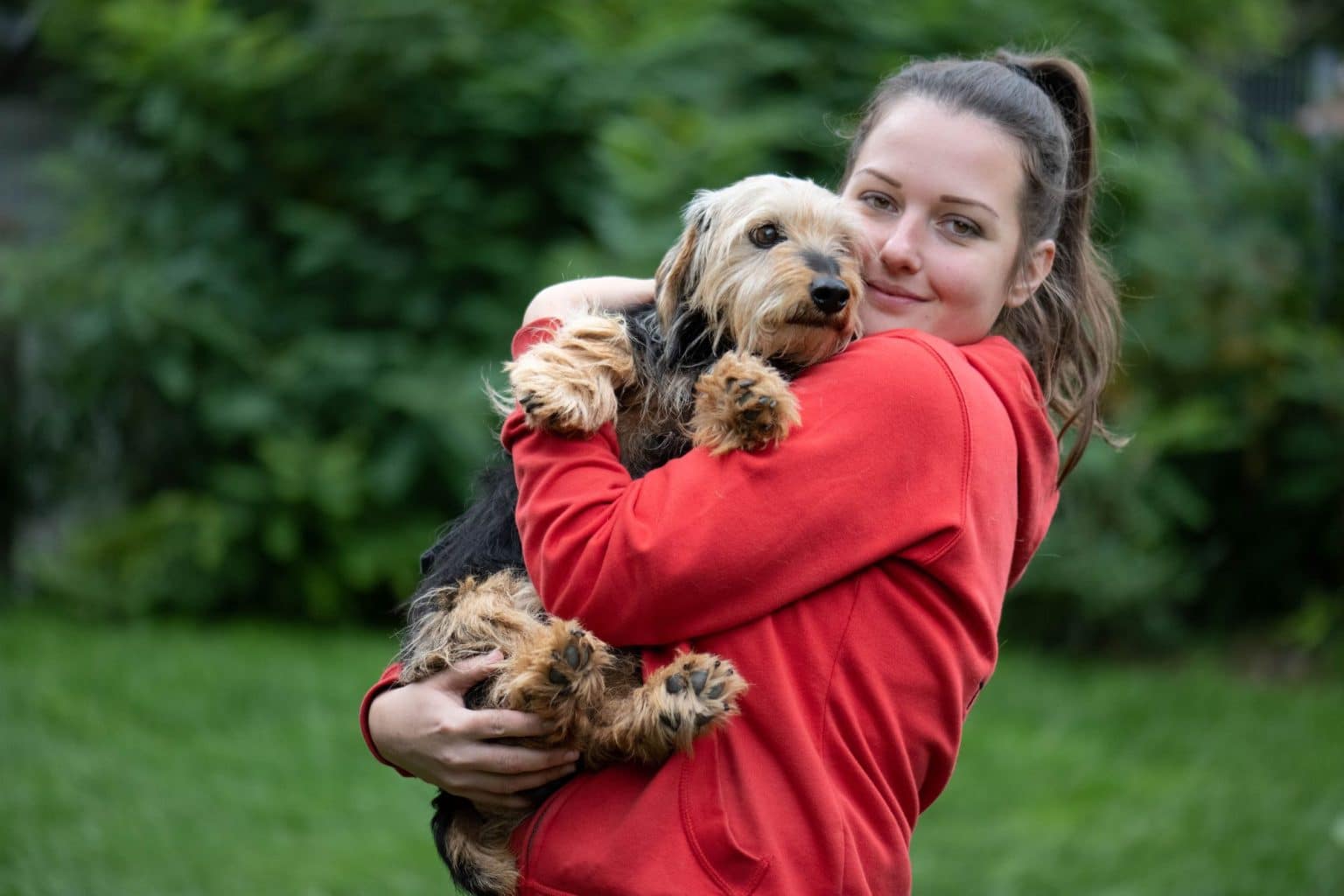 Im Tierschutz Arbeiten Und Geld Verdienen Jobs bei Tierschutz Austria. Werde Teil unseres Teams!