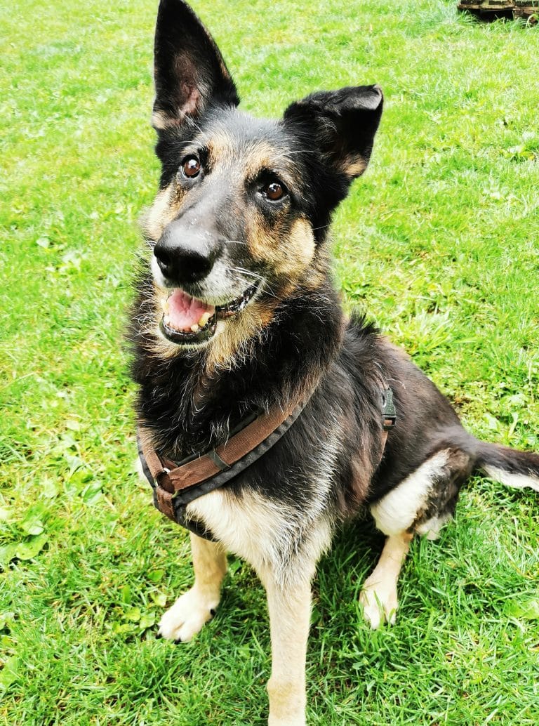 Lexi_2110381_1.jpg