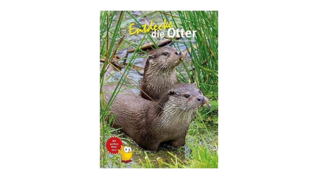 otter2