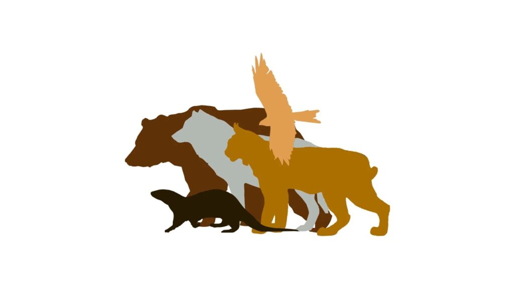 AG Wildtiere Logo