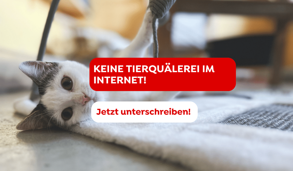 Petition Tierquälerei im Netz