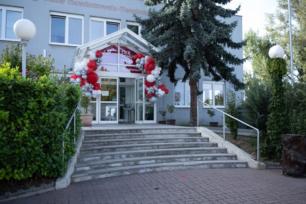 BrigitteGradwohlPhotography_6503