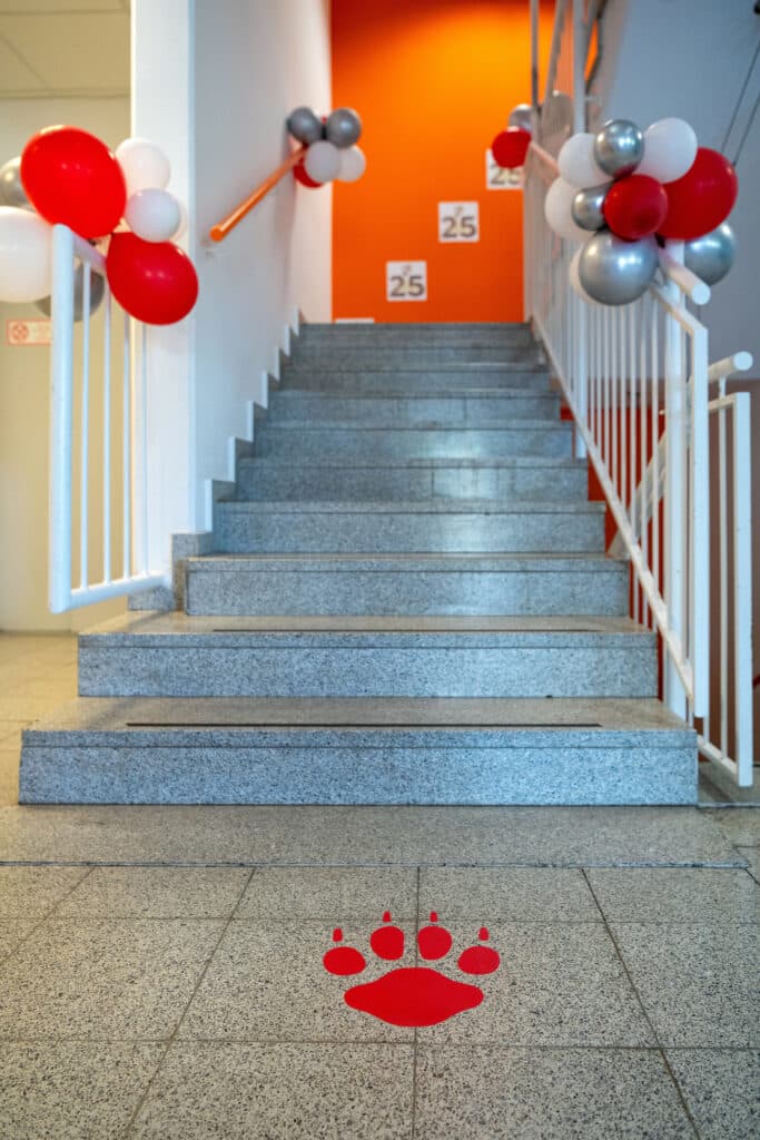 BrigitteGradwohlPhotography_6509