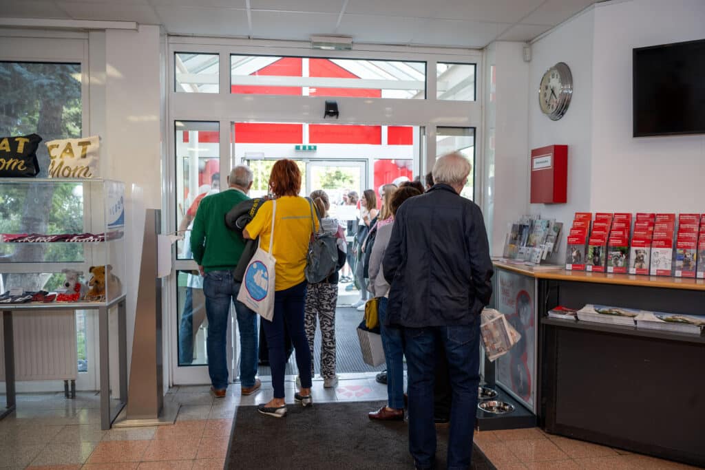 BrigitteGradwohlPhotography_6535