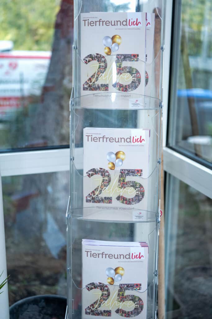 BrigitteGradwohlPhotography_6541