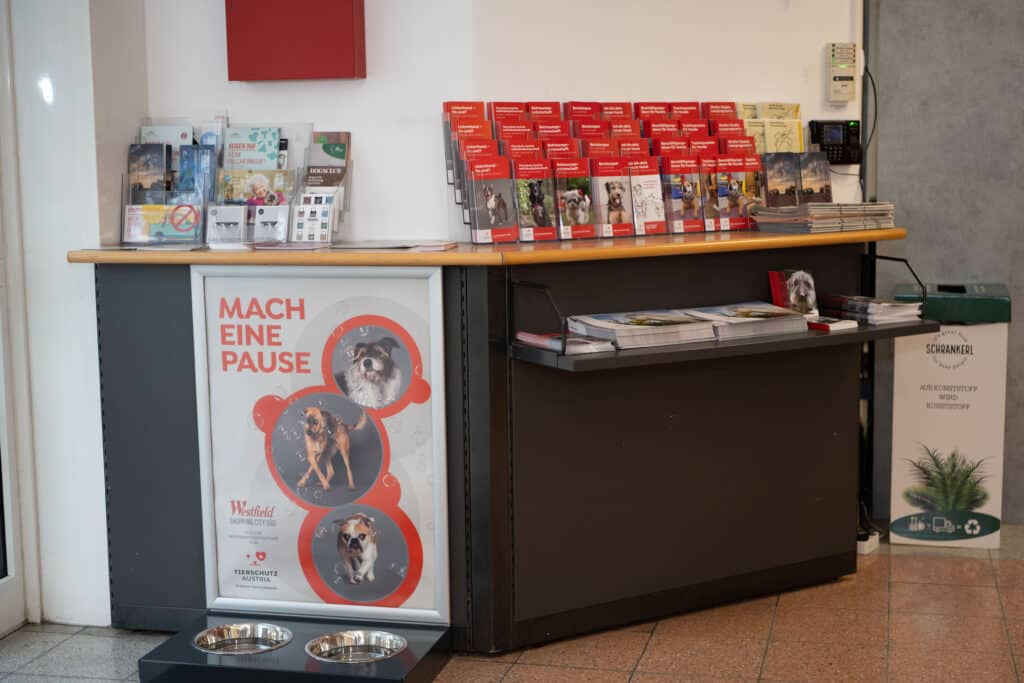 BrigitteGradwohlPhotography_6546