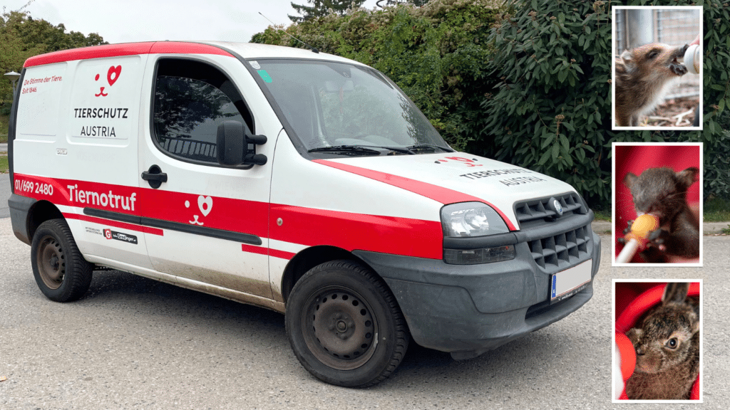 Auto für die Tierrettung