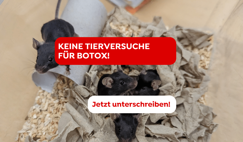 Petitionen Sujet Website(8)