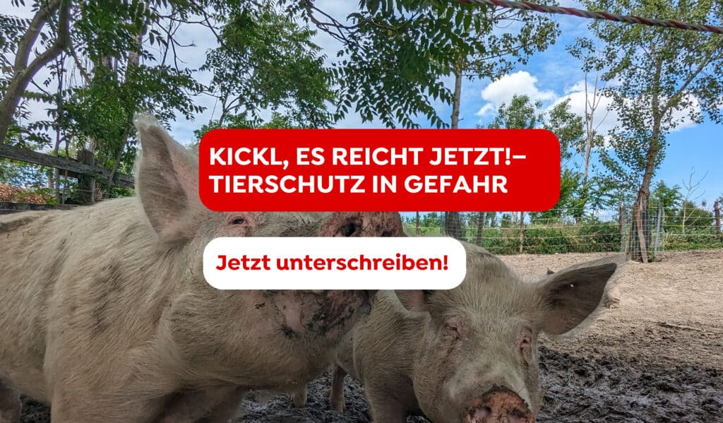 Petition_Kickl-es-reicht-jetzt
