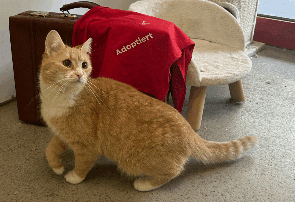 Foxy adoptiert