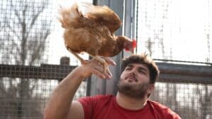 Footer_TSP-NL_Vogelgrippe