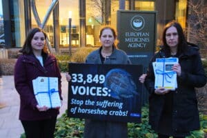 34.000 Unterschriften: Beendet das Leiden der Pfeilschwanzkrebse in Tierversuchen