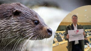 Friedrich Wulf bei Berner Konvention für Tierschutz Austria bzgl. Fischotterjagd in Kärnten