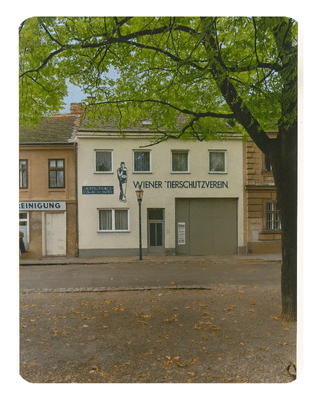 Bild für das Jahr 22.06.1935