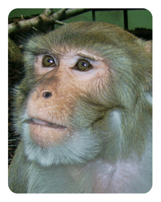 Bild für das Jahr 1.01.2005