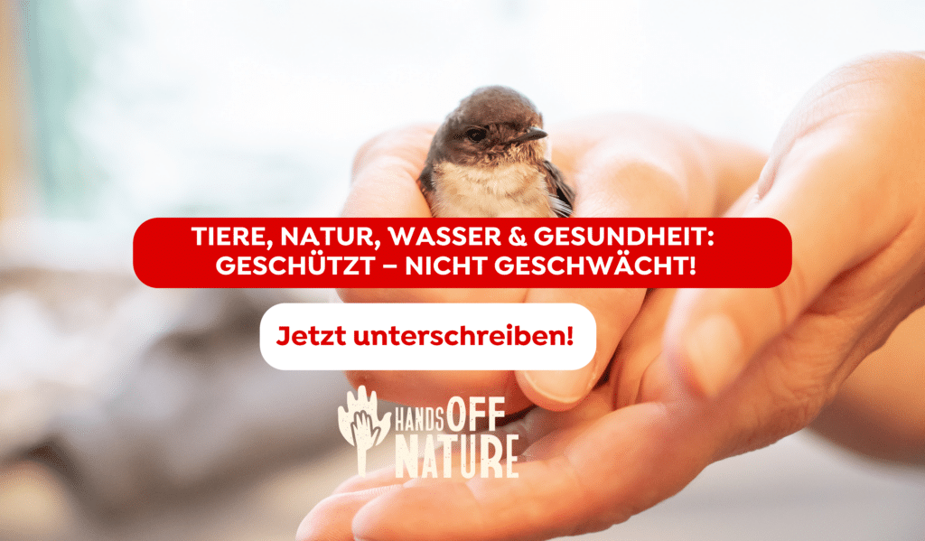 Petitionen Sujet Website_Handsoffnature2026_neu