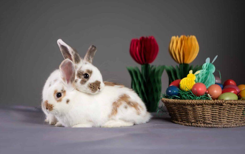 45 - 7781_BrigitteGradwohlPhotography