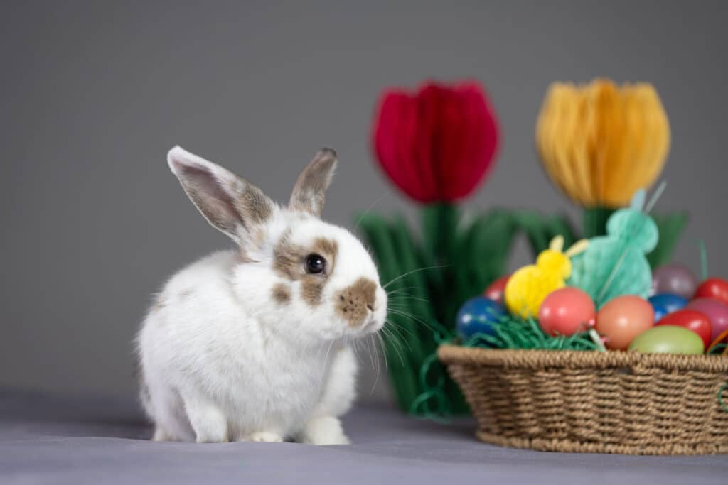 7 - 7733_BrigitteGradwohlPhotography