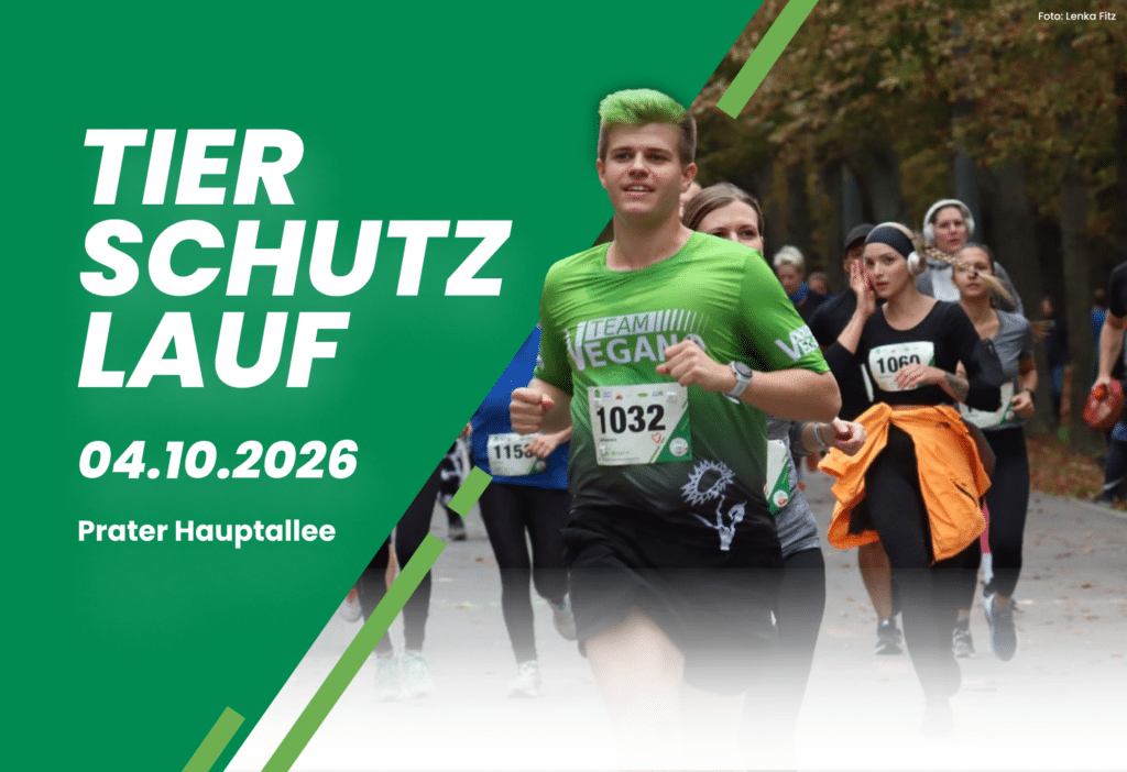 Tierschutzlauf 2026 am 04.10.2026 im Wiener Prater
