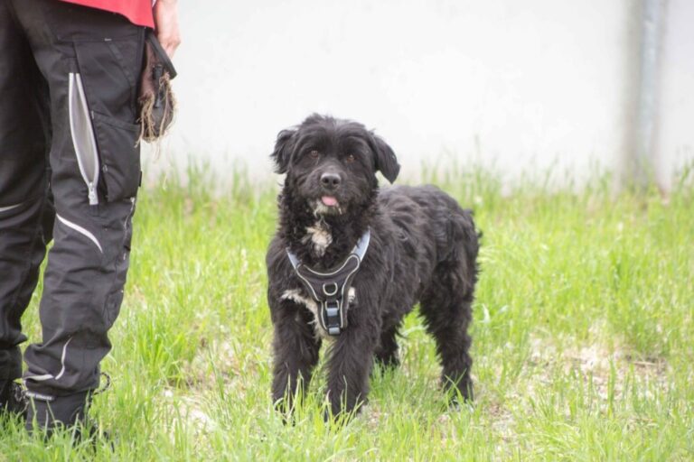bidb_1715879734684.jpg