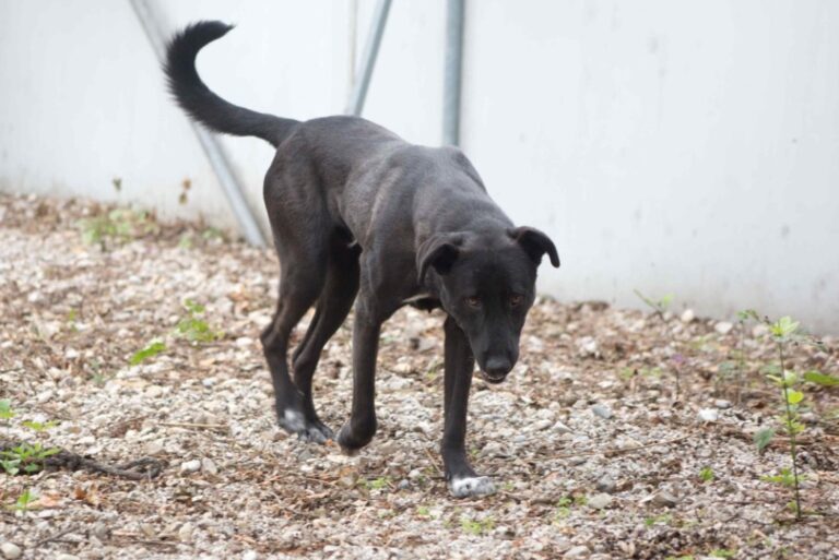 bidb_1292122626494.jpg